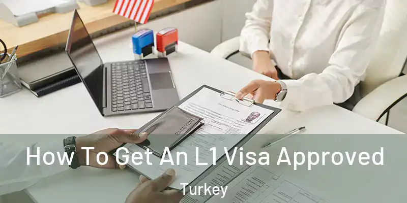  How To Get An L1 Visa Approved Turkey